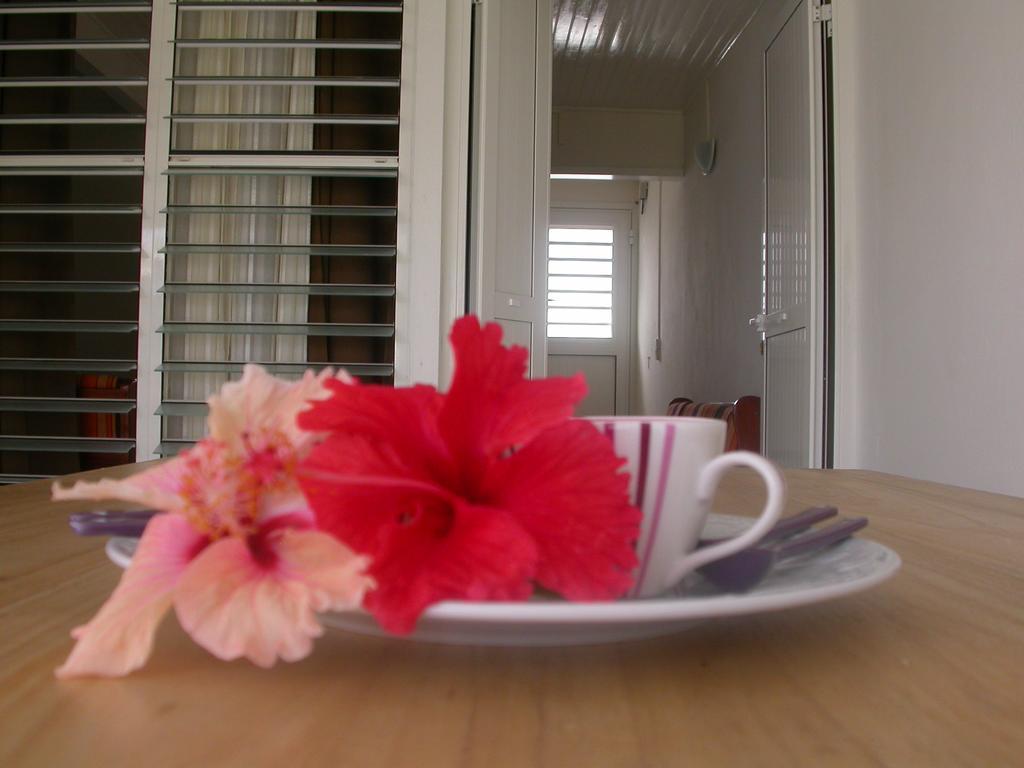 Вилла Maison De Vacances A St Anne Martinique Сент-Анн Экстерьер фото